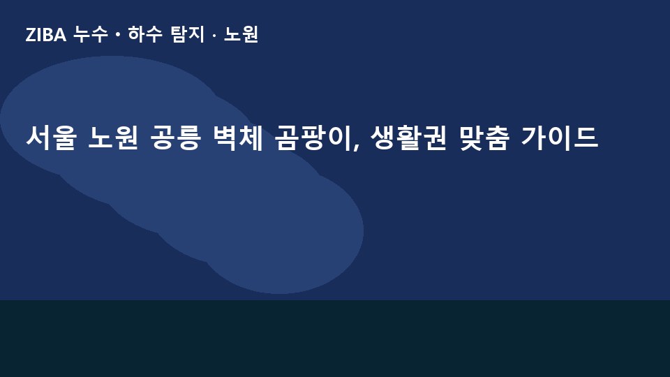 서울 노원 공릉 벽체 곰팡이, 생활권 맞춤 가이드
