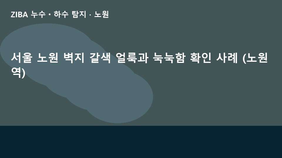 서울 노원 벽지 갈색 얼룩과 눅눅함 확인 사례 (노원역)